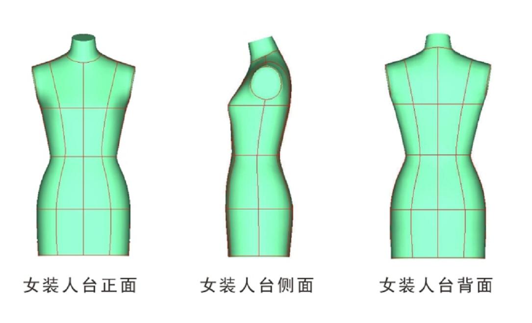 三维人体模型